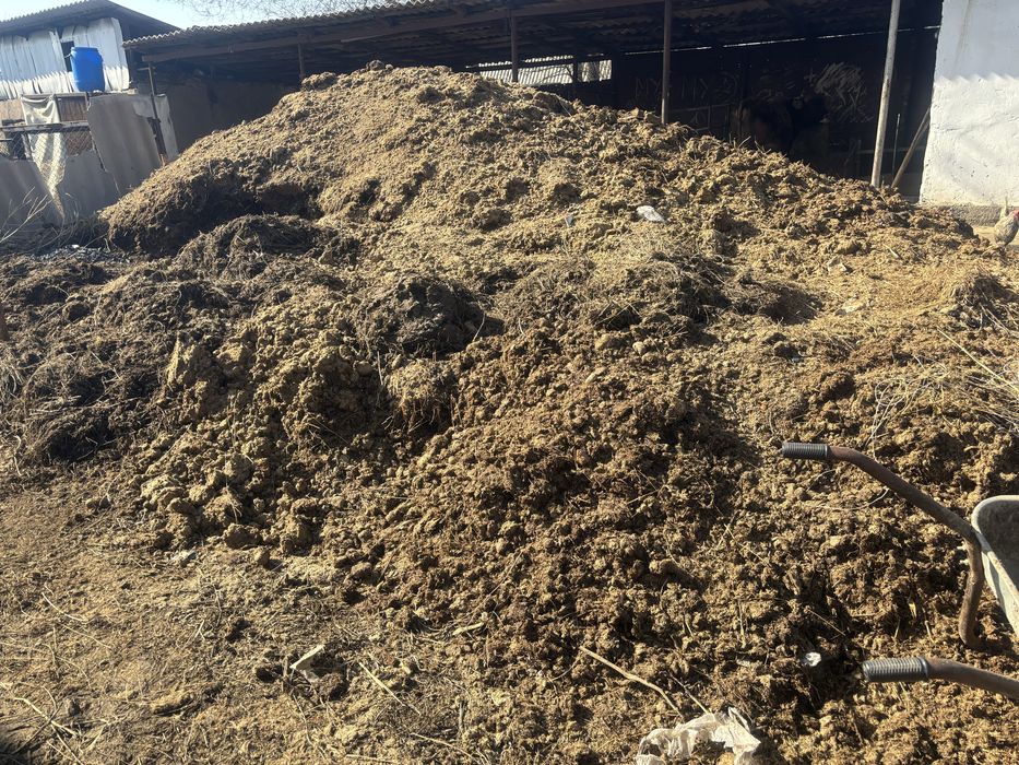 Навоз отдам