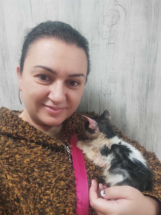 2-месечно момченце търси дом!