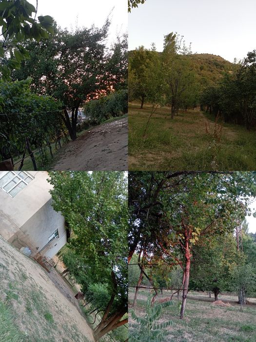 Продаю участок 25-сотк. Цена договорная. Срочно