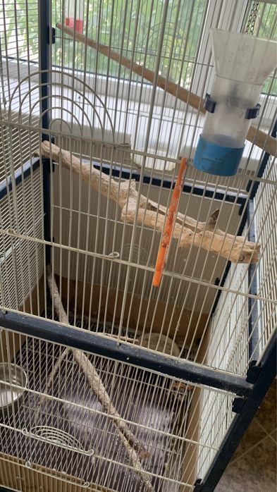 Большая клетка для попугаев