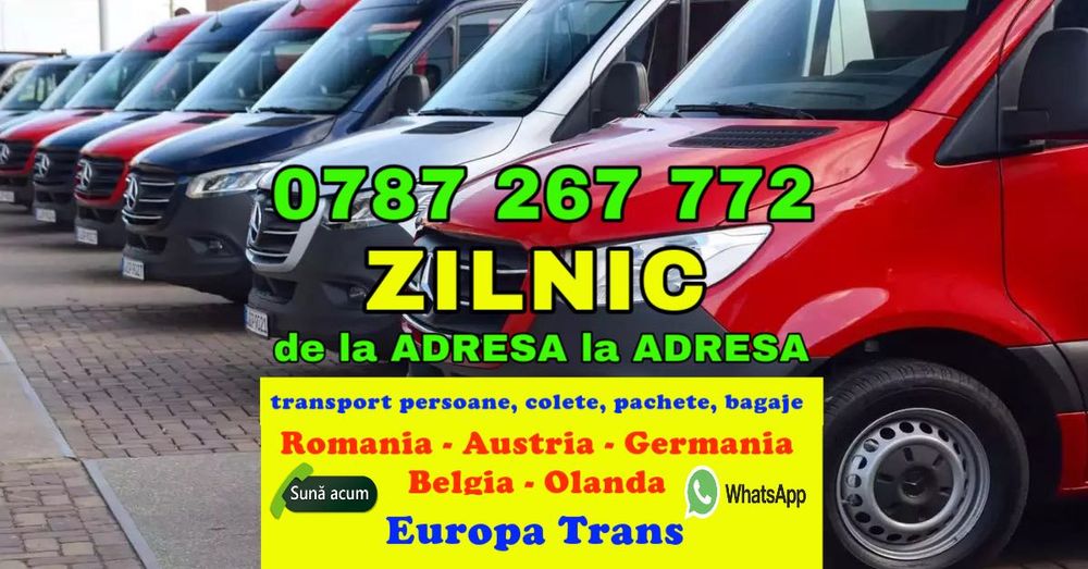 transport Romania Austria Germania curse ZILNIC persoane colete bagaje