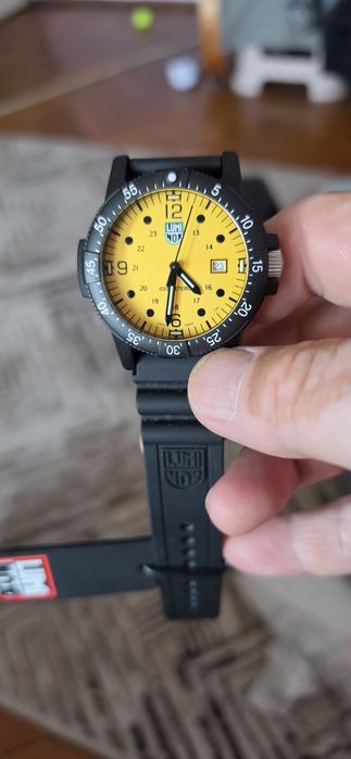 Lumi nox sea bass