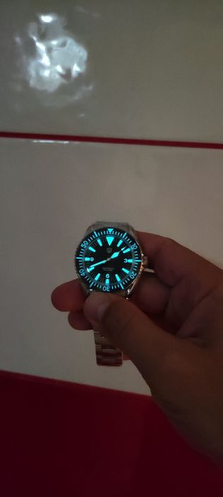 Citizen Casio Seiko  Steeldive Adiessdive San Martin Pagani Design