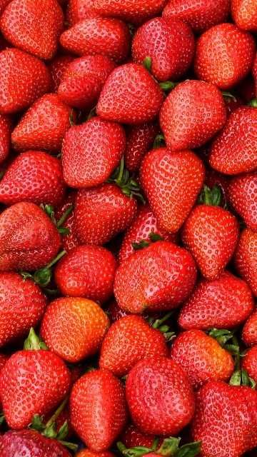 Продам домашнию клубнику