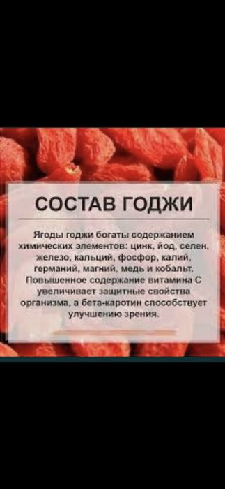 Саженци Годжи, очень богат вытаминами и минералами, полезно для здоров