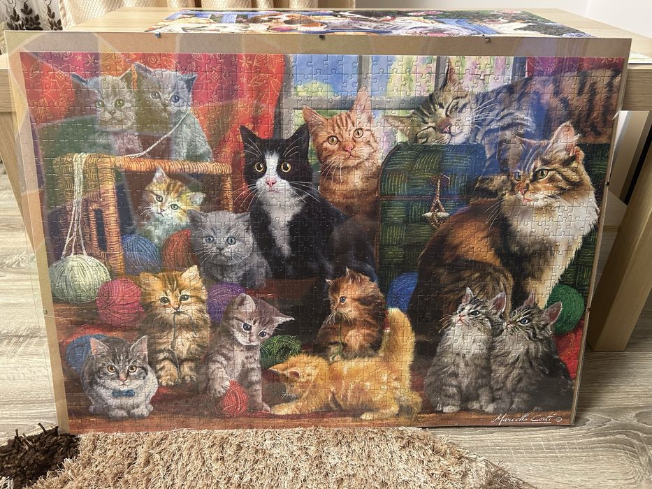 Tablou puzzle 1000 piese
