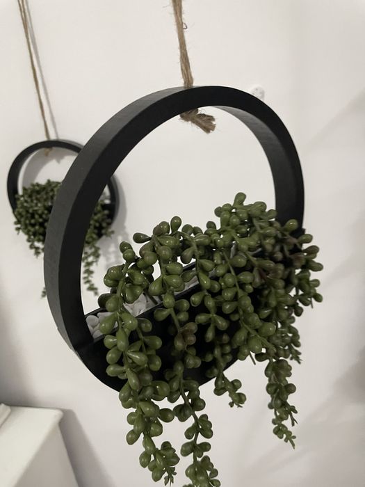 Decor plante suspendat