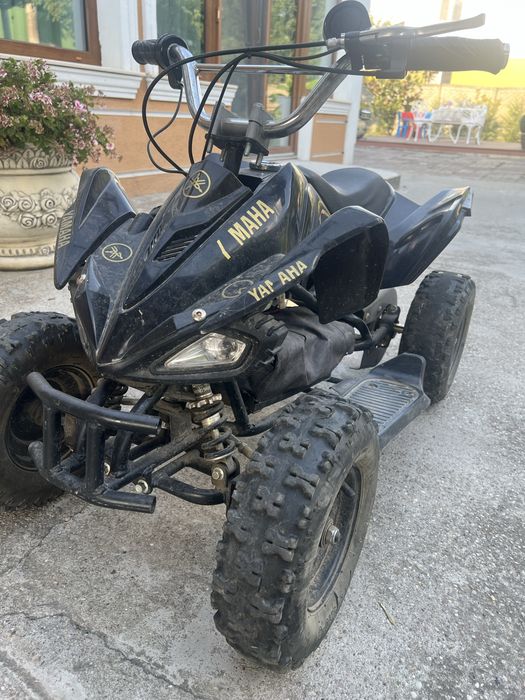 Ateveu copii cu viteze