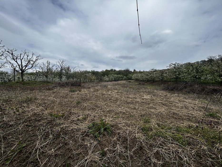 Teren intravilan 3600 mp – Str. Lovinescu, Rădășeni, toate utilitățile
