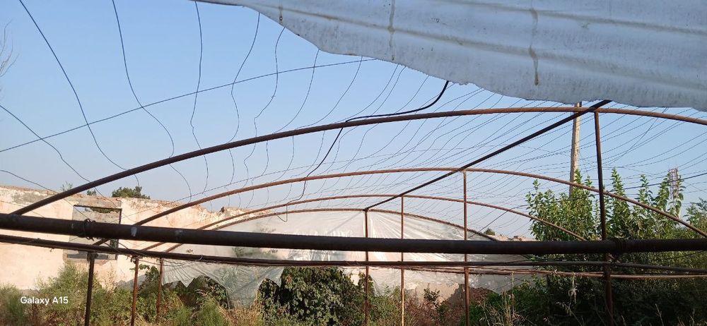 Parnik sotiladi Surxondaryo viloyati Oltinsoy tumanida