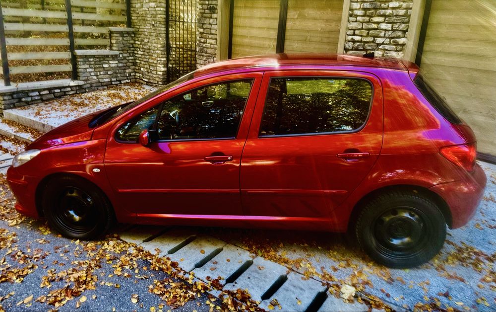 Vand Peugeot 307 1,6 HDI