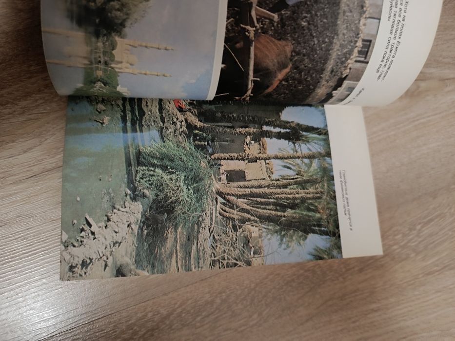 Египет и египтяне. Книга