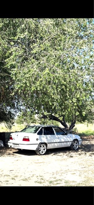 Titanka Nexia Jentra