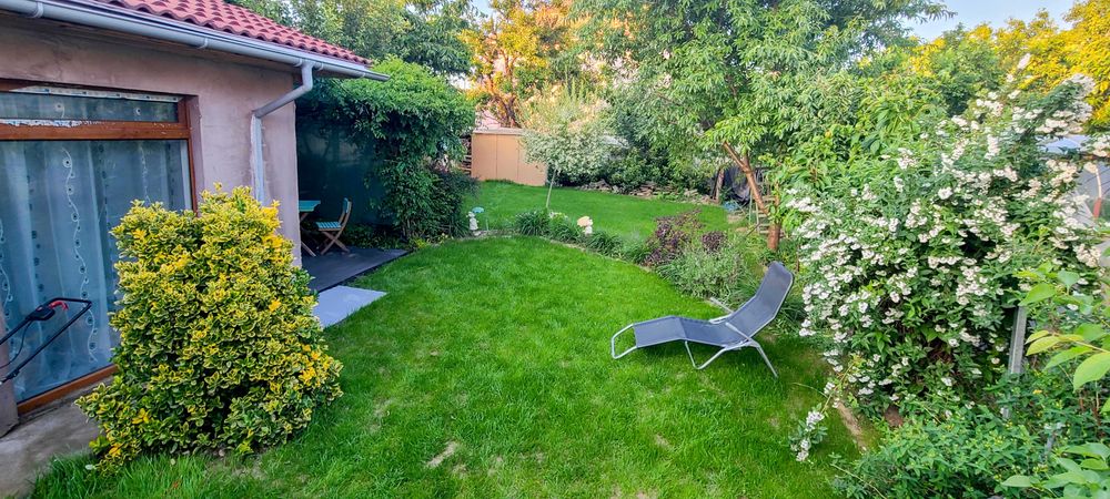 apartamente de inchiriat timisoara