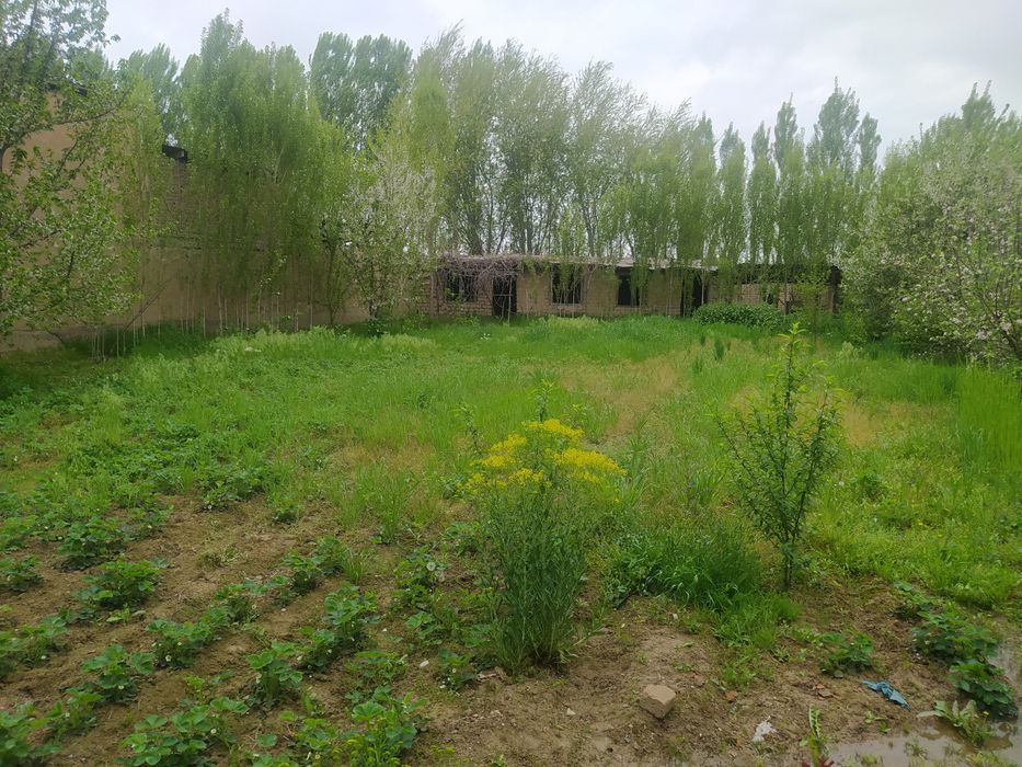 Nazarbek mevazor yer 3 sotik