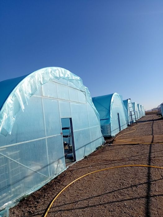 Теплицы всех видов и размеров