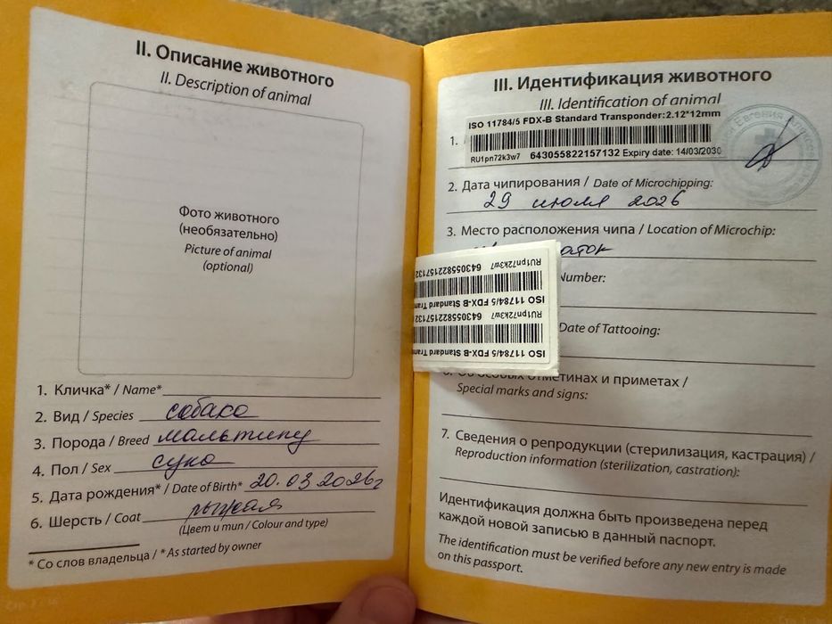 Продается мальтипу