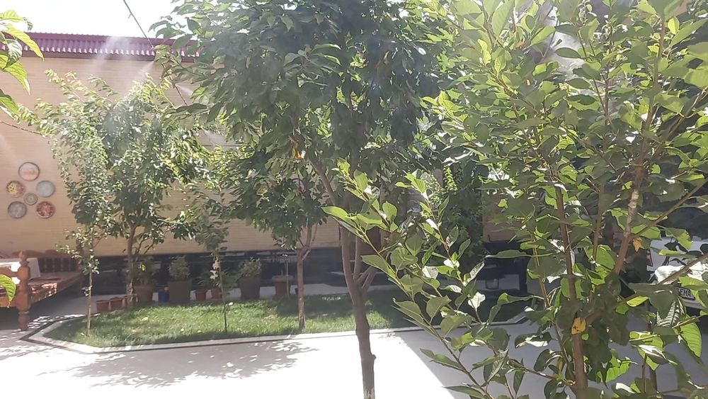 Soyali setkalar oʻrnatib beramiz