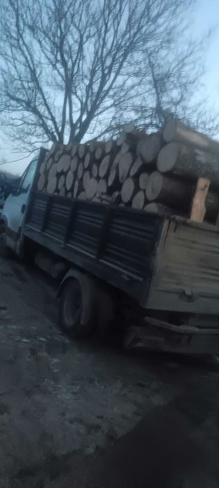 Lemn de foc Stejar uscat