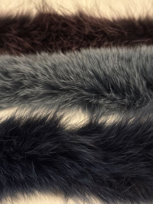 3 gulere blana , vulpe