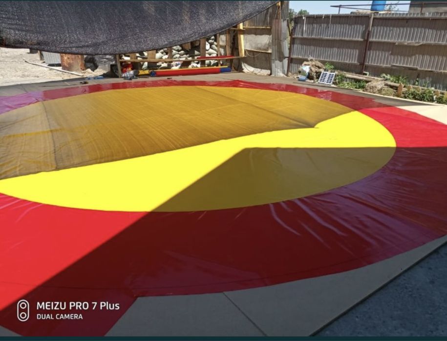 Борцовский ковер