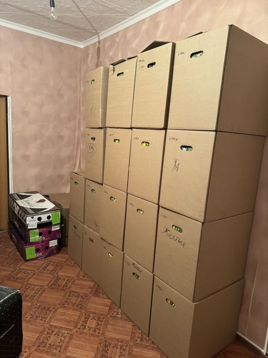 Тюльпаны оптом костанай