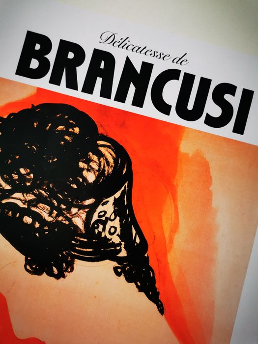 Delicatesse de BRANCUSI Constantin afis poster expozitie arta 1985 RAR