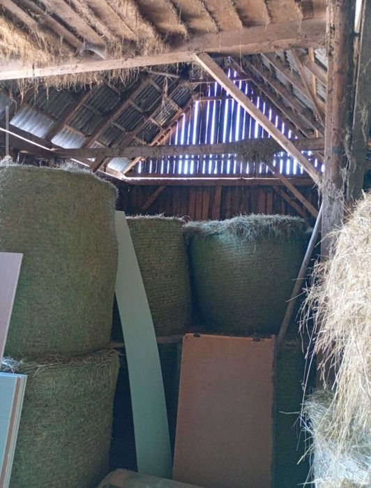 Baloti de otava de calitate