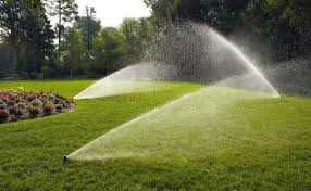 Зелёный газон круглый год — мы всё сделаем за вас - от 15 0000 сум