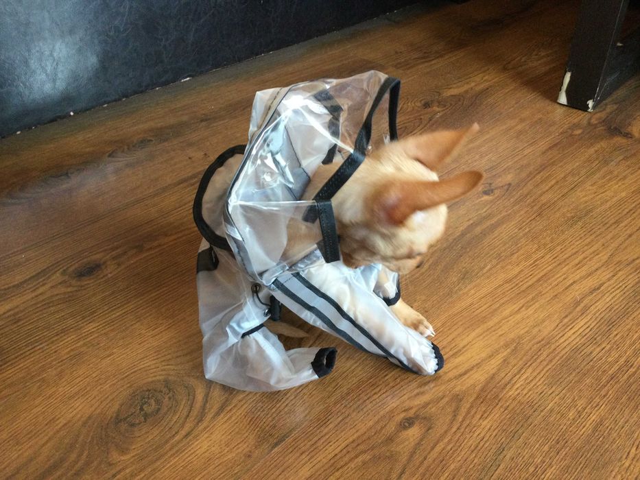 НОВ прозрачен дъждобран за куче от Италия размер S