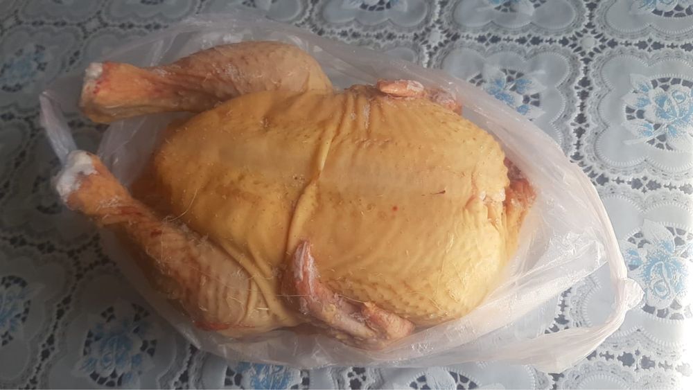 Домашнии курочки