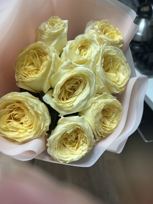 Продам цветы дешево