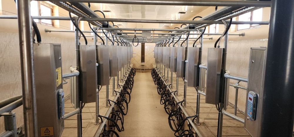 Ферма Ferma готовый бизнес в Ташкенте