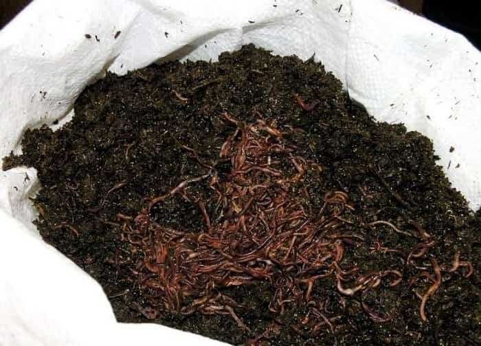 Натуральное Биогумус.  Удобрение в любых объёмах