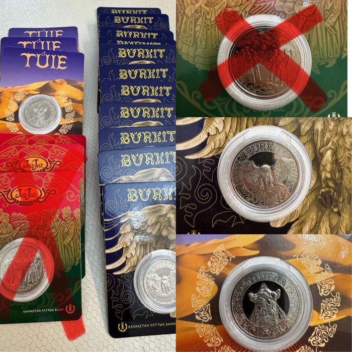 Блистер Туйе, Беркут