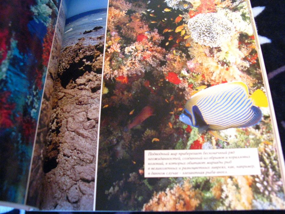 Иллюстрированные книги / альбомы