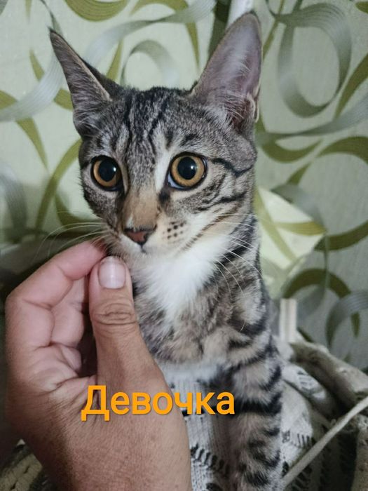 Только в ответственные руки.