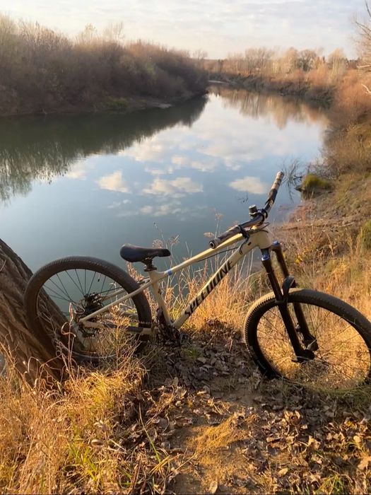 speedone bestroyer 27.5 s