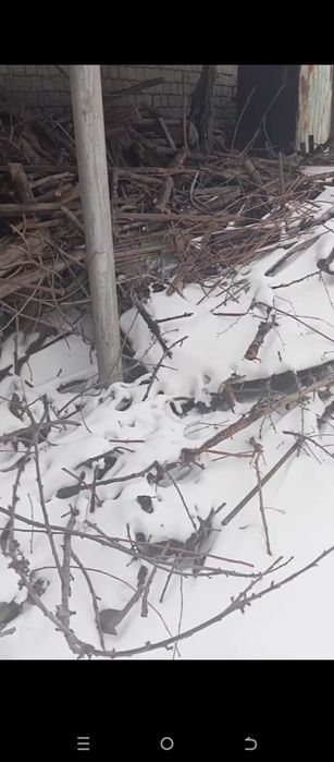 Hammasi 3mln tegda hali kop bor kelshtrb beramz