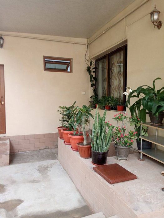 ШОФАЙЗ 4.2 сотух 5 хона