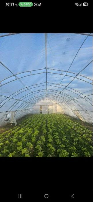 Оранжерии на  3г. + найлон