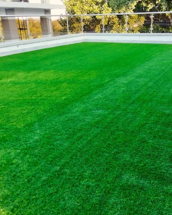 Suniy chim искусственный газон