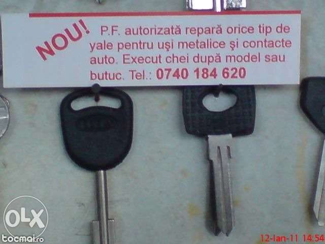 Butuci usa metalica, deblocari auto, usi de casa si seife !