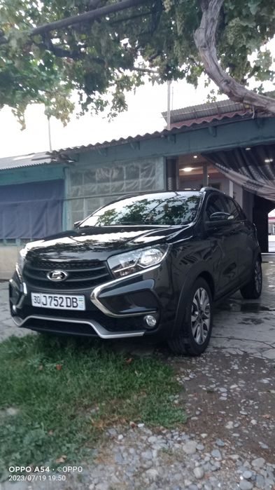 Other X-Ray 2019 — 2