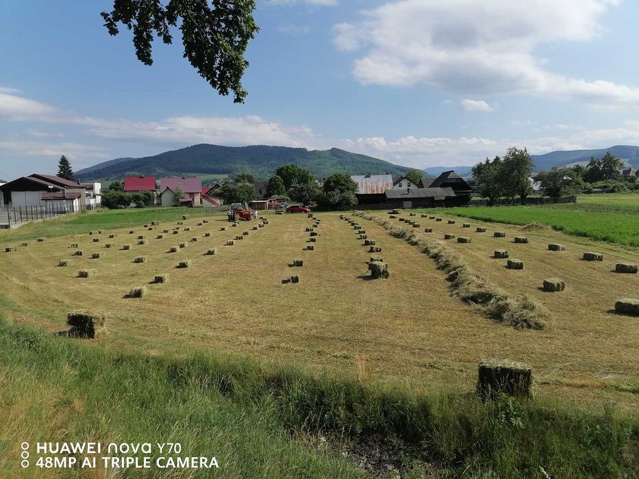 Baloți otavã de vânzare
