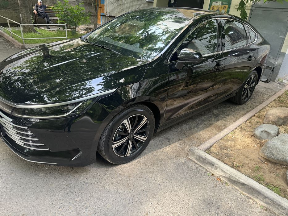 Byd chazor black