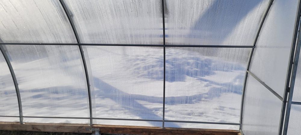 Поликарбонатна Оранжерия SUNNY Avant 4х4х2.3 метра ДхШхВ, 16 кв м