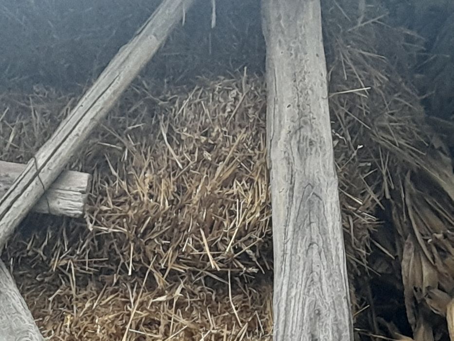 Vând baloți de paie.