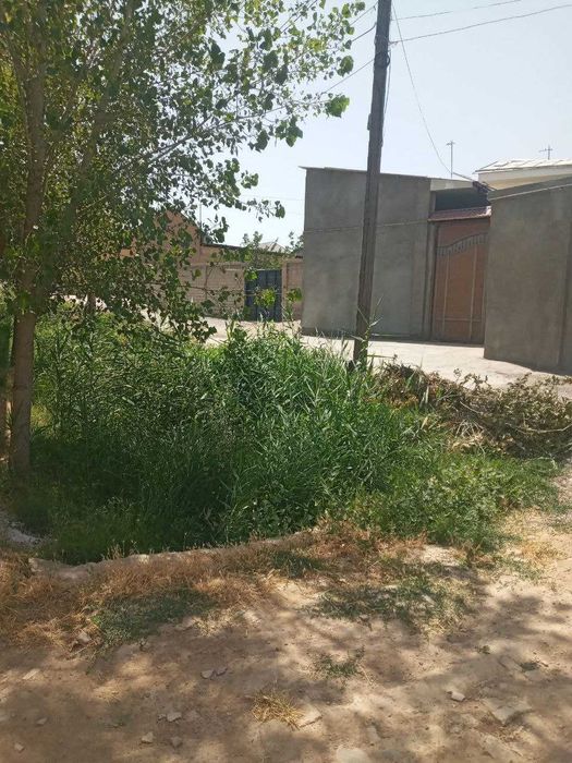 Nazarbek tekstilda uy