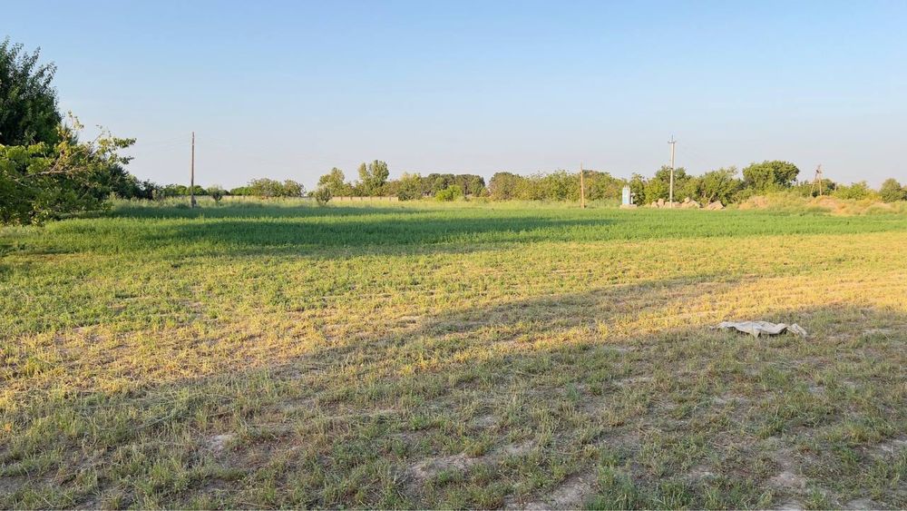 Ferma sotiladi 30 tonnalik marazelnik 10 000 ta broler boqishga joy bo